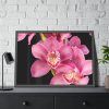 93855-495.jpg Cymbidium Hybrid Orchid Framed Poster