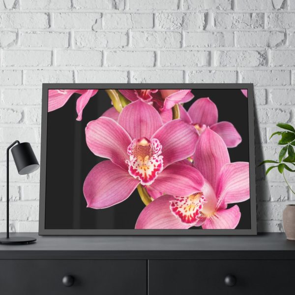 93855-495.jpg Cymbidium Hybrid Orchid Framed Poster