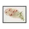 93855-496.jpg Dendrobium Phalænopsis by Frederick Sander Framed Poster