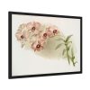 93855-497.jpg Dendrobium Phalænopsis by Frederick Sander Framed Poster