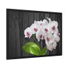 White Orchid Plant Framed Poster