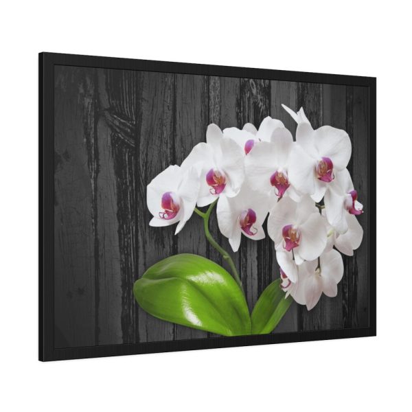 White Orchid Plant Framed Poster