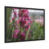 Orchid Cash Plant Framed Poster