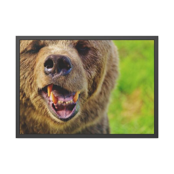 European Brown Bear Framed Poster