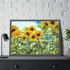 Bloom Sunflower Framed Poster