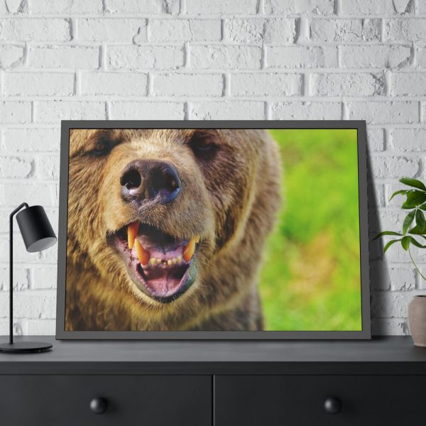 European Brown Bear Framed Poster