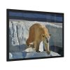 93855-517.jpg Wet Polar Bear Framed Poster