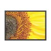Closeup Sunflower Framed Poster
