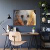 93855-530.jpg Syrian Bear Face Framed Poster
