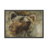 Grizzly Bear Kodiak Head Framed Poster