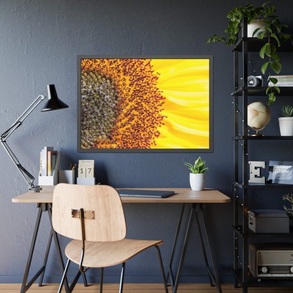 Closeup Sunflower Framed Poster