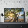 93855-543.jpg Sneaker Hanging from a Sand Beach Tree at Sunset Framed Poster
