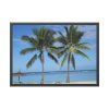 Palm Tree on the Beach Framed Poster