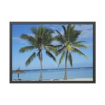 Palm Tree on the Beach Framed Poster - Image 5