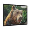 Grizzly Bear Snout Framed Poster