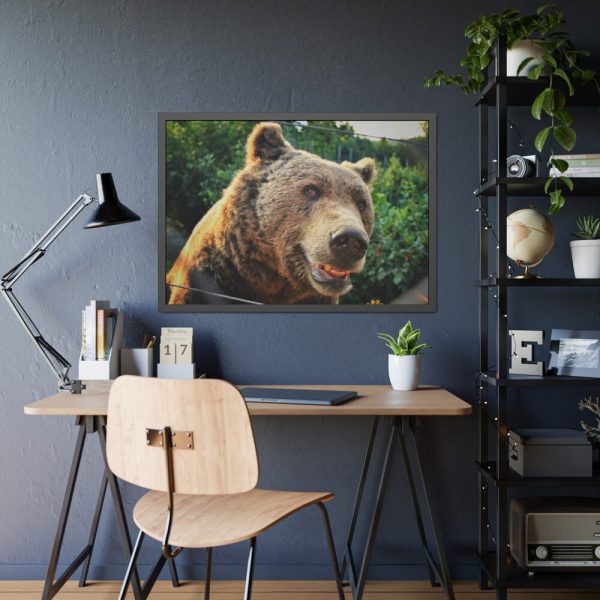 Grizzly Bear Snout Framed Poster