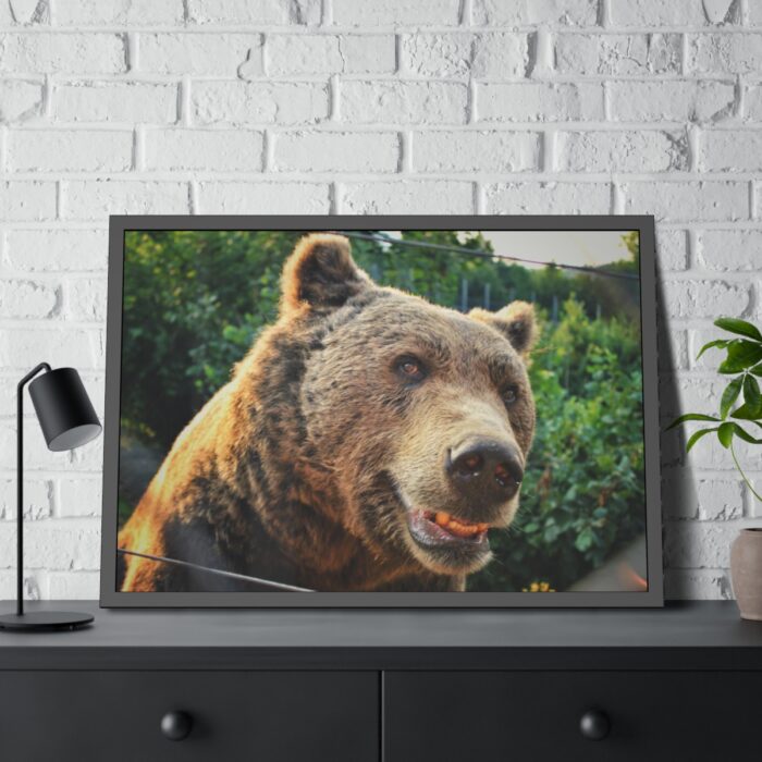 Grizzly Bear Snout Framed Poster - Image 8