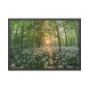 93855-604.jpg Forest at Sunset with Bear's Garlic Framed Poster