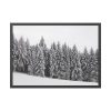 93855-612.jpg Snow Covered Trees in Forest Framed Poster
