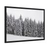 93855-613.jpg Snow Covered Trees in Forest Framed Poster