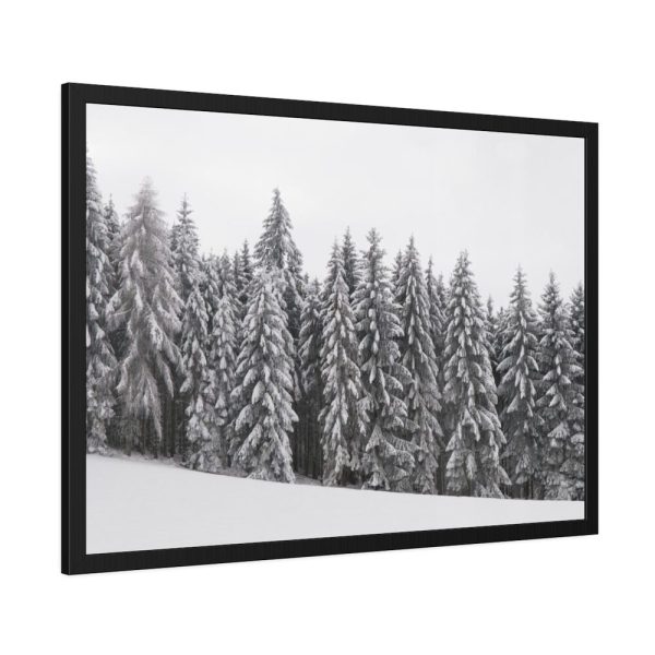 93855-613.jpg Snow Covered Trees in Forest Framed Poster