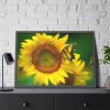 93855-63.jpg Butterfly on Sunflower Framed Poster