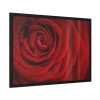 93855-97.jpg Red Rose Framed Poster
