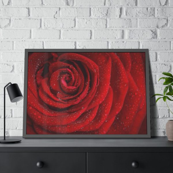 93855-99.jpg Red Rose Framed Poster