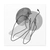 101419-346.jpg Contemporary Minimalist Standard Canvas