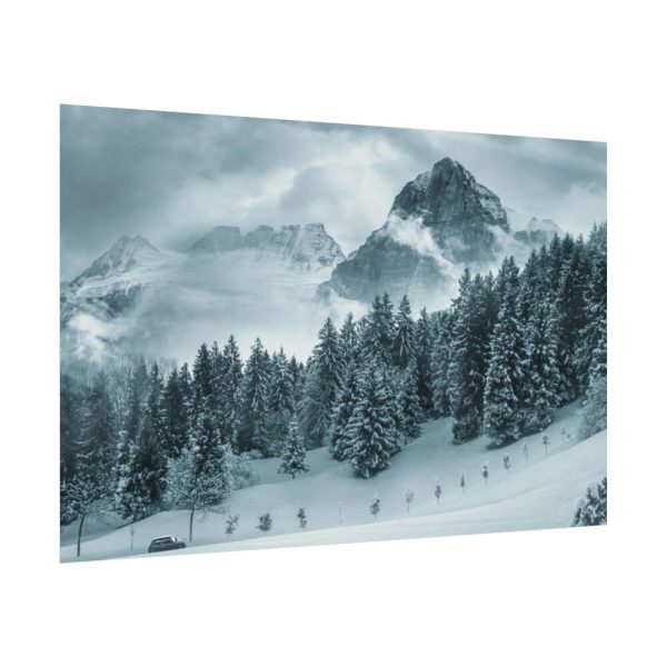 101825-17.jpg Car in Mountain Landscape With Snowy Trees Poster