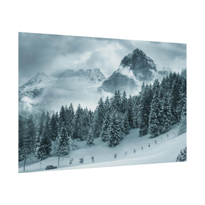 Car in Mountain Landscape With Snowy Trees Poster - Image 113
