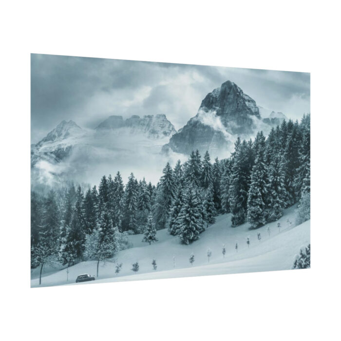 Car in Mountain Landscape With Snowy Trees Poster - Image 118