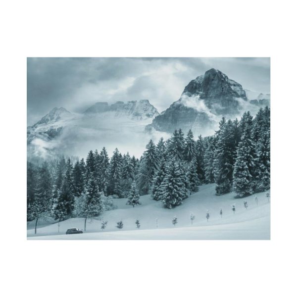 101829-15.jpg Car in Mountain Landscape With Snowy Trees Poster