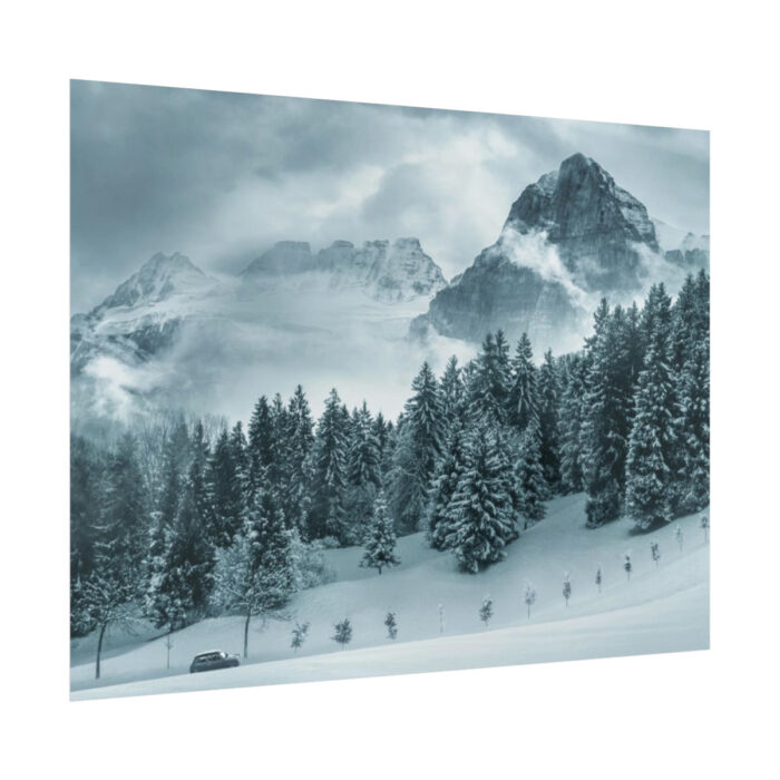 Car in Mountain Landscape With Snowy Trees Poster - Image 128