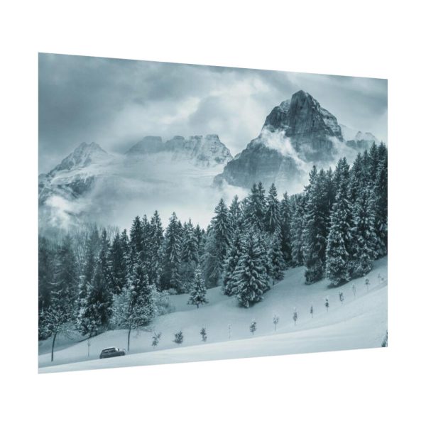 101837-17.jpg Car in Mountain Landscape With Snowy Trees Poster