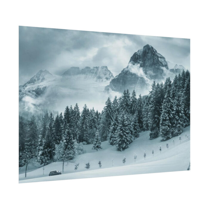 Car in Mountain Landscape With Snowy Trees Poster - Image 143