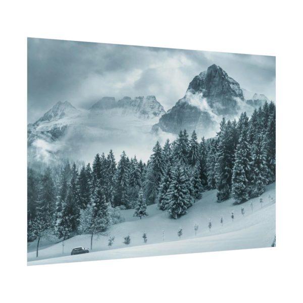 101838-17.jpg Car in Mountain Landscape With Snowy Trees Poster