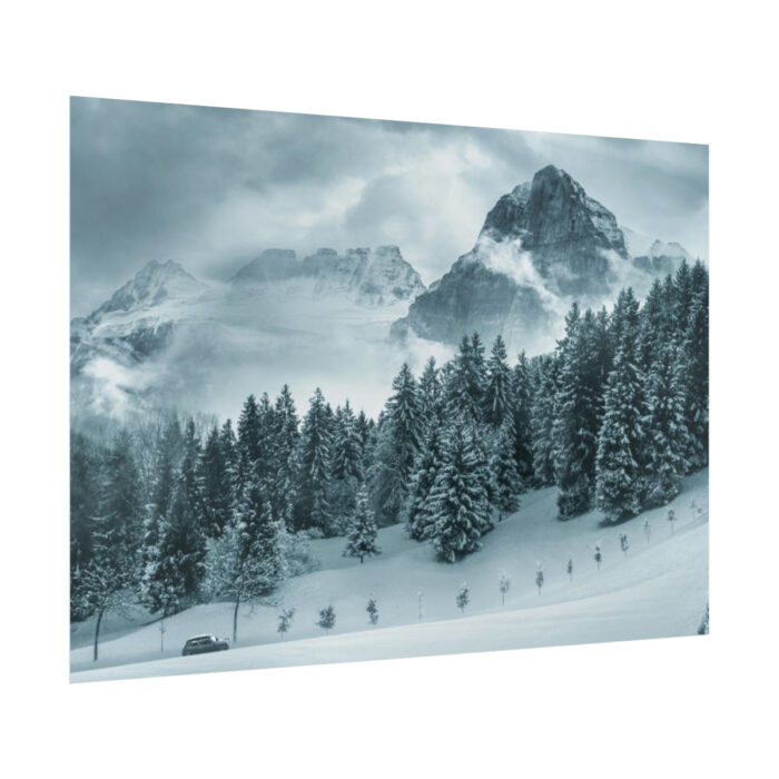 Car in Mountain Landscape With Snowy Trees Poster - Image 148
