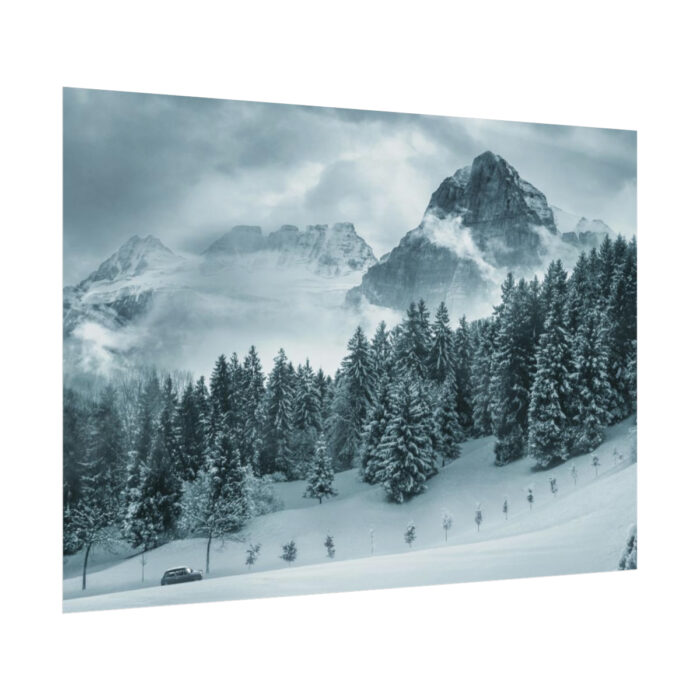 Car in Mountain Landscape With Snowy Trees Poster - Image 173