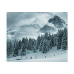 Car in Mountain Landscape With Snowy Trees Poster - Image 181