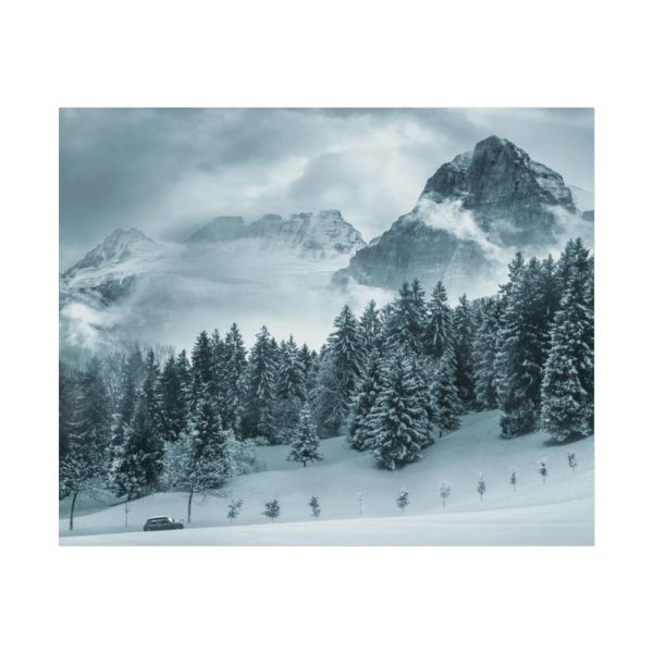 101853-15.jpg Car in Mountain Landscape With Snowy Trees Poster