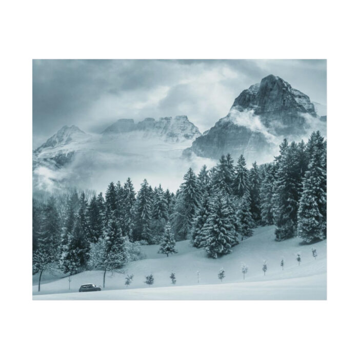 Car in Mountain Landscape With Snowy Trees Poster - Image 181