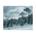 Car in Mountain Landscape With Snowy Trees Poster - Image 186
