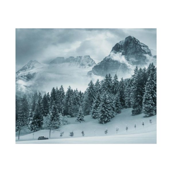 101854-15.jpg Car in Mountain Landscape With Snowy Trees Poster