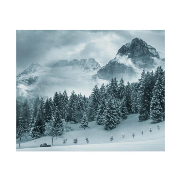 Car in Mountain Landscape With Snowy Trees Poster - Image 186