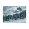 101857-40.jpg Car in Mountain Landscape With Snowy Trees Poster