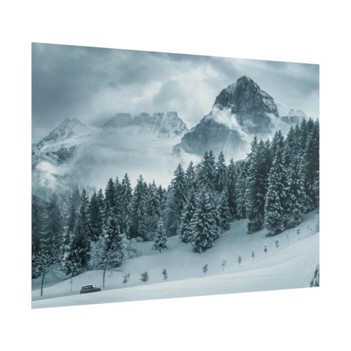 Car in Mountain Landscape With Snowy Trees Poster - Image 193