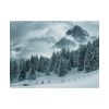 101858-15.jpg Car in Mountain Landscape With Snowy Trees Poster