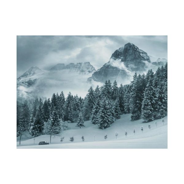 101858-15.jpg Car in Mountain Landscape With Snowy Trees Poster