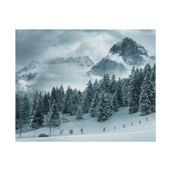 101859-15.jpg Car in Mountain Landscape With Snowy Trees Poster